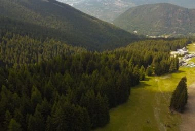 Lush green forests in Mount Ararat, Turkey