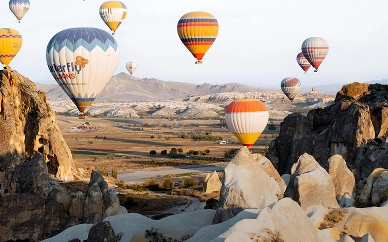 View of Hot Air Balloons